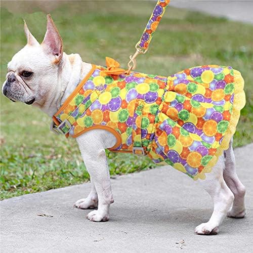 N/slatka tiskana chihuahua pseća mačka kabelski pojas set set ljetnih kućnih ljubimaca haljina za odjeću za malu pseću prsluk za pug