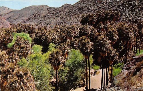Palm Canyon, kalifornijska razglednica