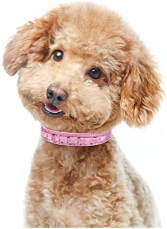 DHTDVD Personalizirani pseći ovratnik Koža od rhinestone čari prilagođenih psa za kućne ljubimce mačka ime
