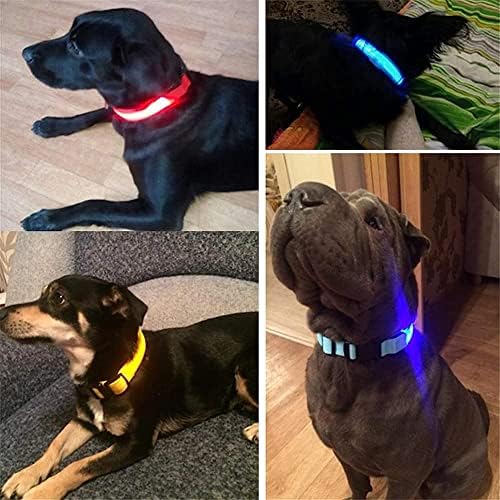 Badalo kućni ljubimac najlon vođeni ovratnik, noćni sjaj za sigurnost u povodcu psa, psi svjetlosni fluorescentni ogrlice zalihe kućnih